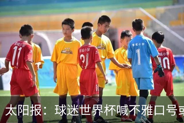 太阳报：球迷世界杯喊不雅口号或说脏话可能会被驱逐出场